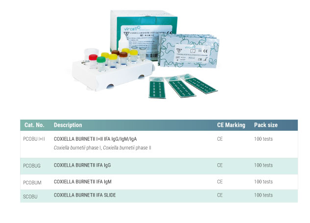 Coxiella IFA solution
