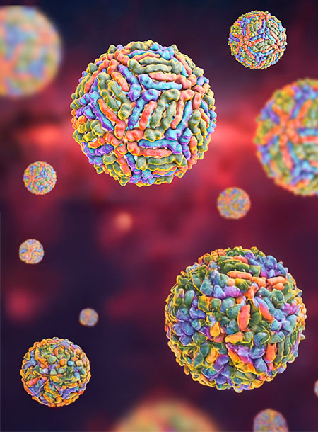 West Nile Virus diagnosis