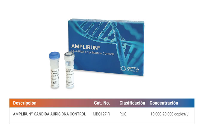 AMPLIRUN candida auris dna control molecular