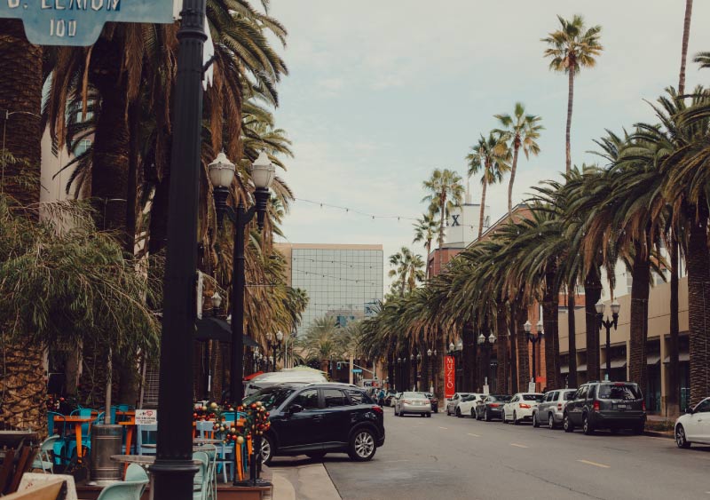 anaheim adlm