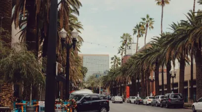 anaheim adlm